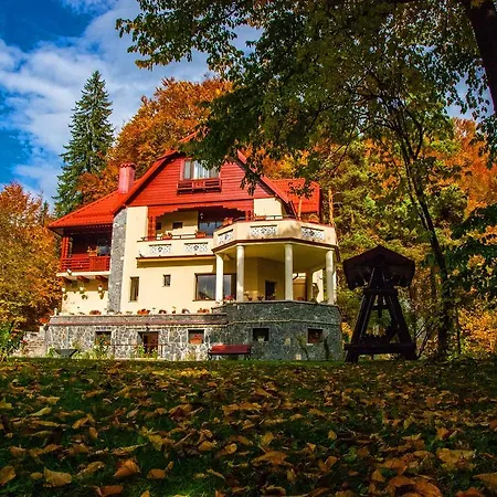 Pensiunea Boema Guest house