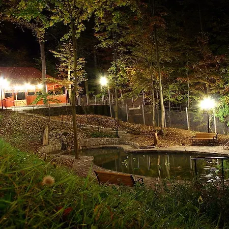 Pensiunea Boema Sinaia